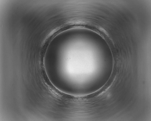 X0000066000922200603061319