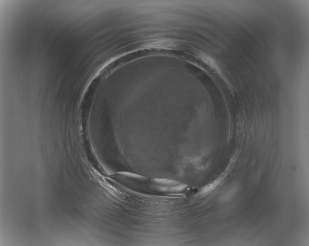 X0000066000923200603061319