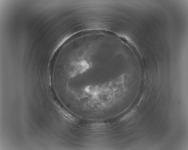 X0000066000925200603061319