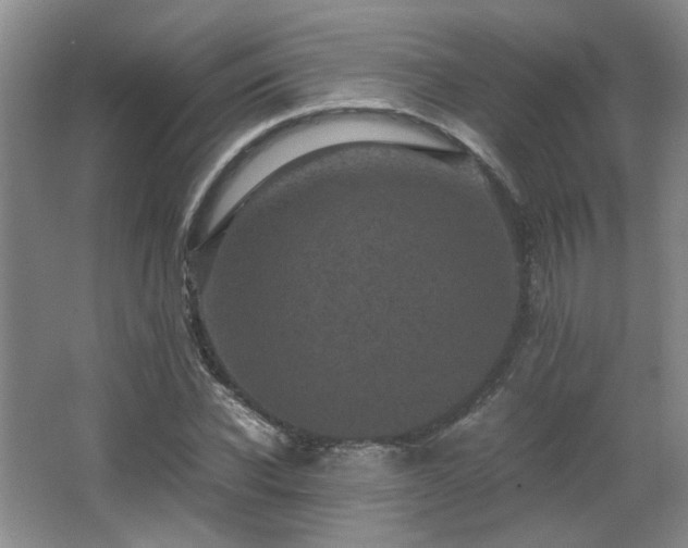 X0000066000926200603061319