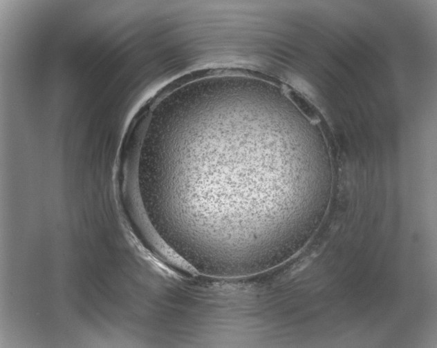 X0000066000928200603061319