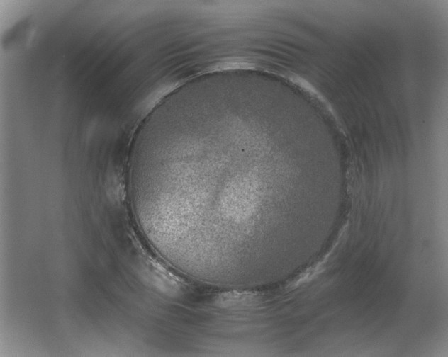 X0000066000929200603061319