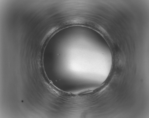 X0000066000930200603061319