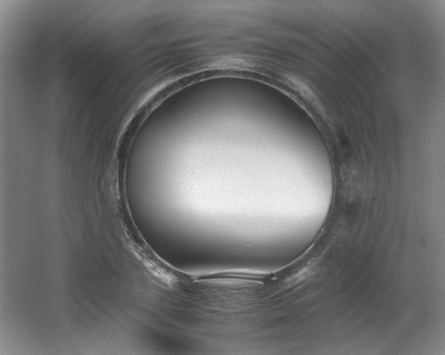 X0000066000931200603061319