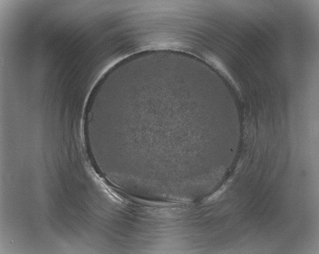 X0000066000932200603061319