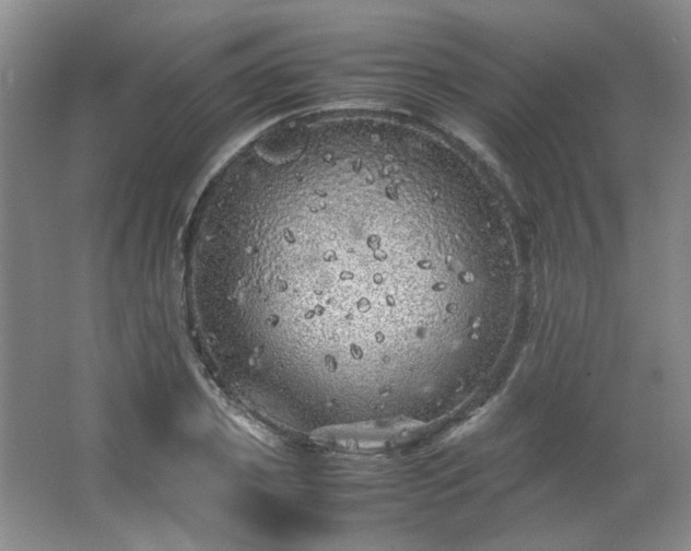 X0000066000933200603061319