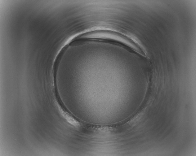 X0000066000934200603061319