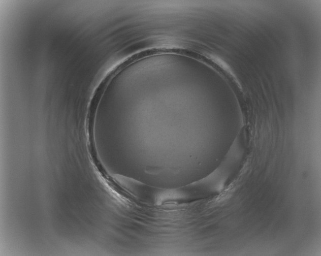 X0000066000935200603061320