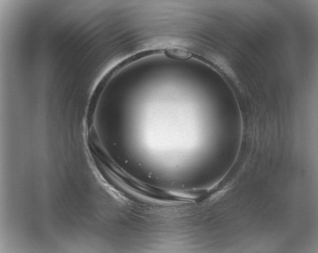 X0000066000936200603061320