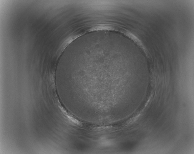 X0000066000937200603061320