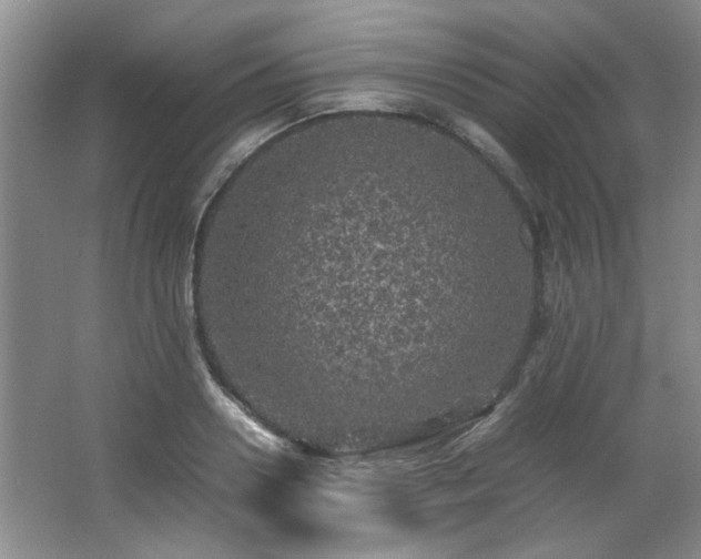 X0000066000938200603061320