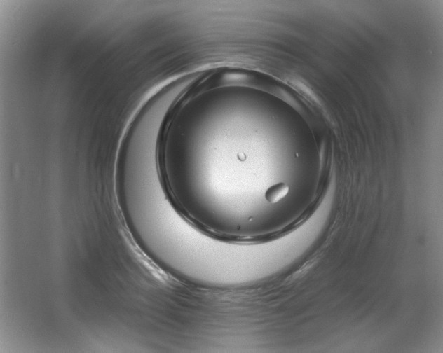 X0000066000940200603061320