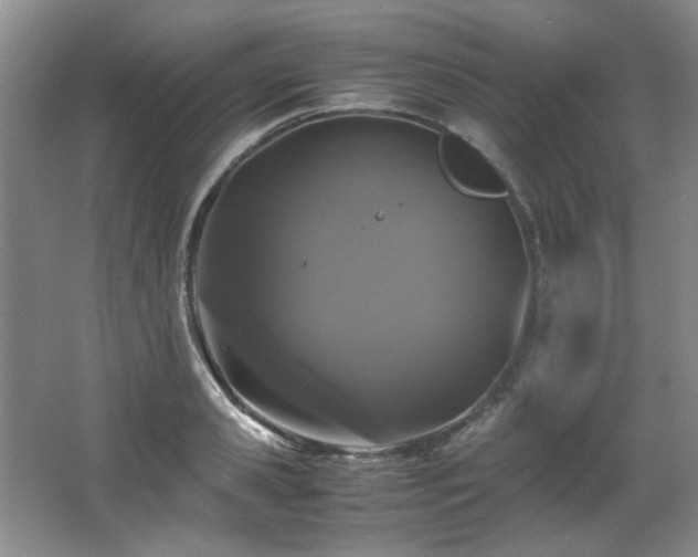 X0000066000941200603061320