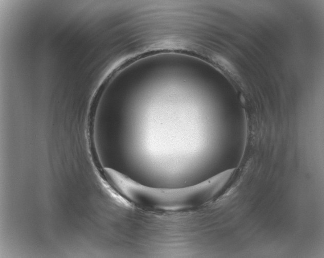 X0000066000942200603061320