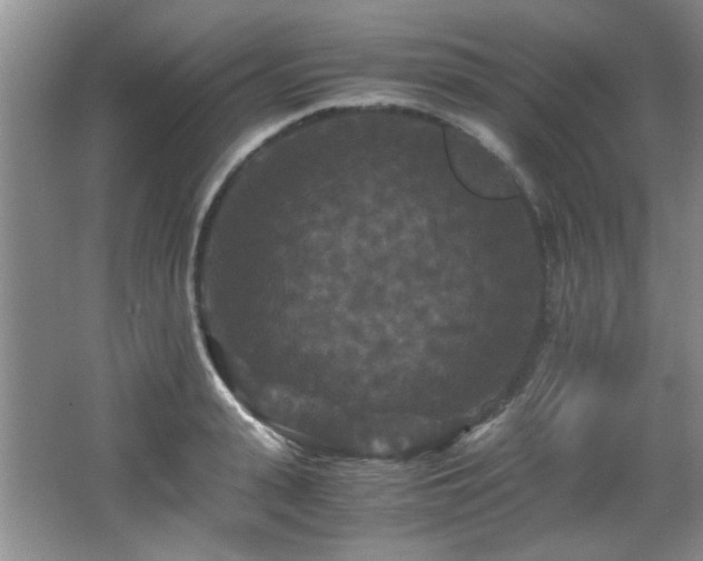 X0000066000943200603061320