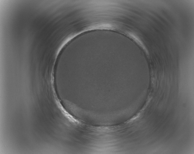 X0000066000944200603061320