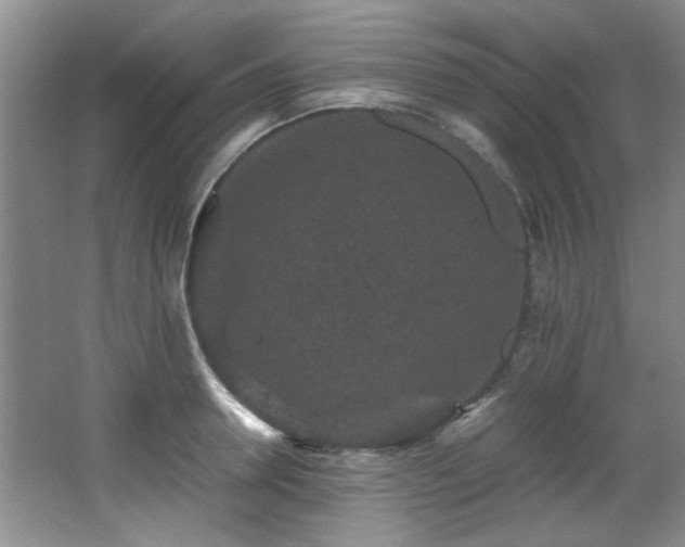 X0000066000946200603061320