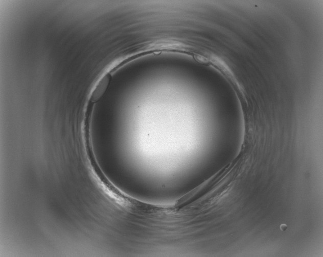 X0000066000947200603061320