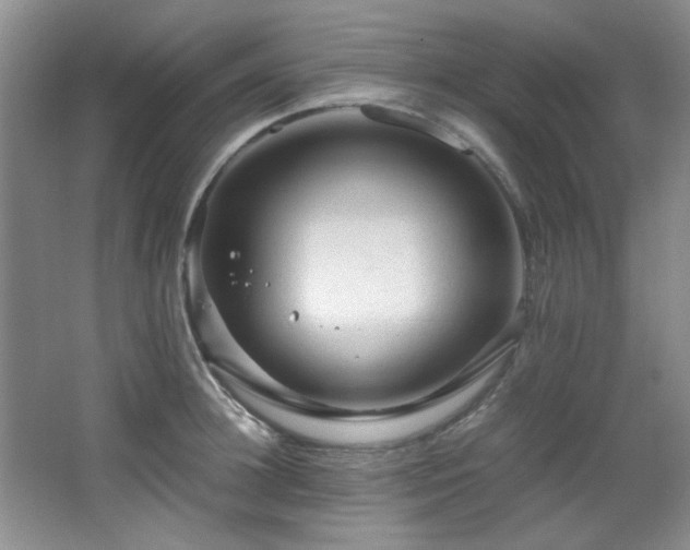 X0000066000948200603061320