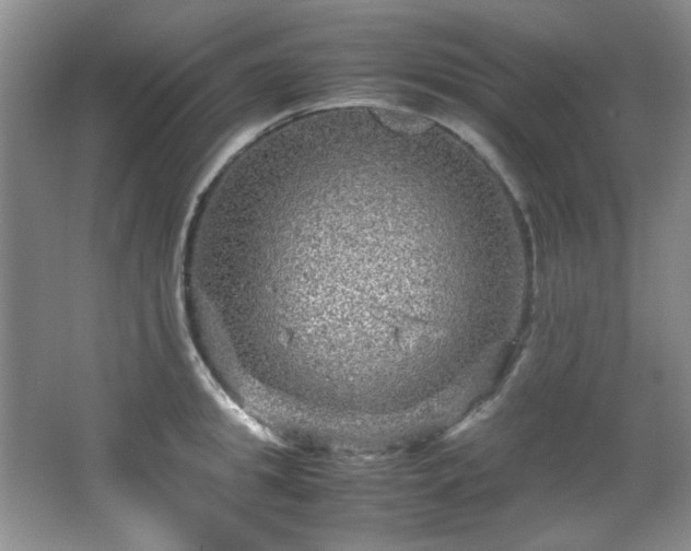 X0000066000949200603061320