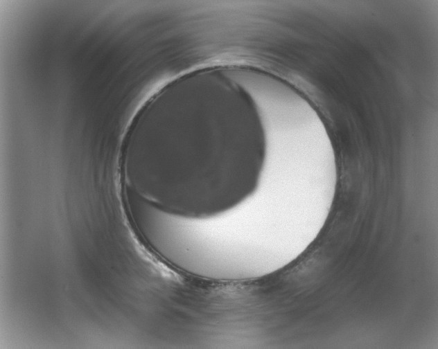 X0000066000950200603061320