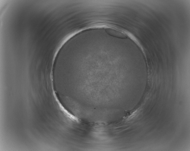 X0000066000951200603061320