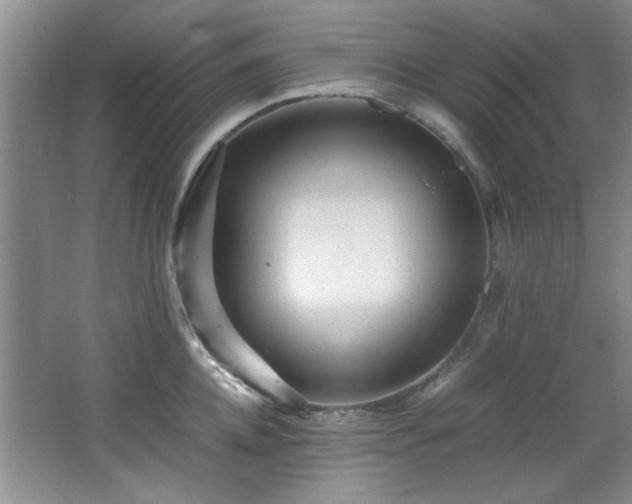 X0000066000952200603061320