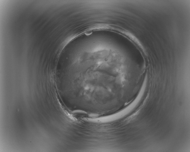 X0000066000953200603061320