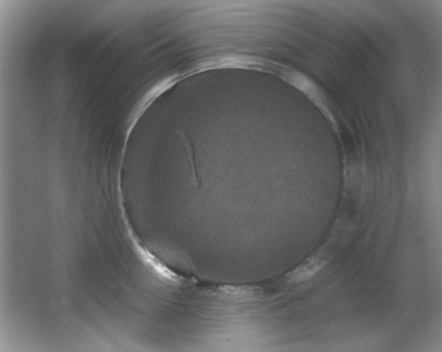 X0000066000954200603061320