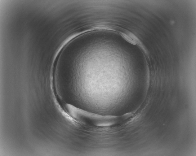 X0000066000955200603061320