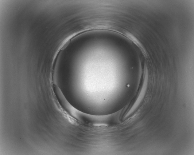 X0000066000956200603061320