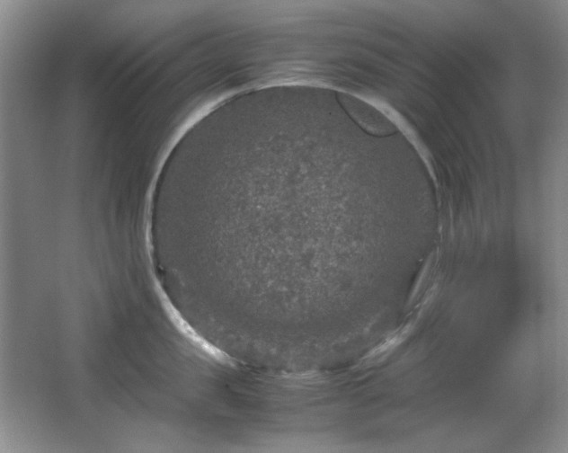 X0000066000957200603061320