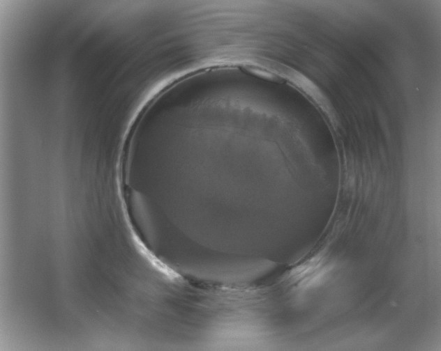 X0000066000958200603061320