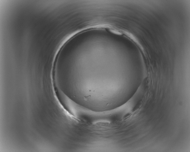 X0000066000959200603061320