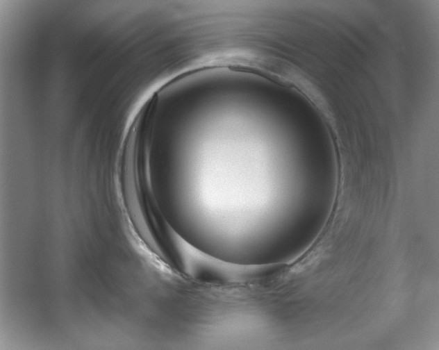 X0000066000960200603061320