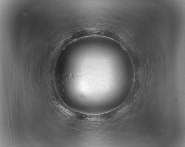 X0000066000961200603061319