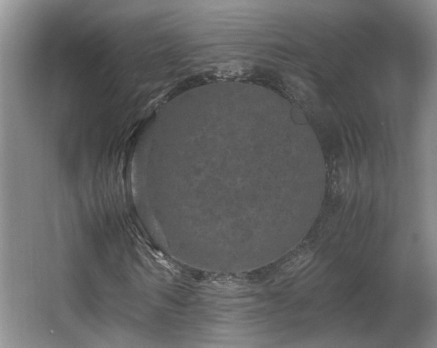 X0000066000962200603061319