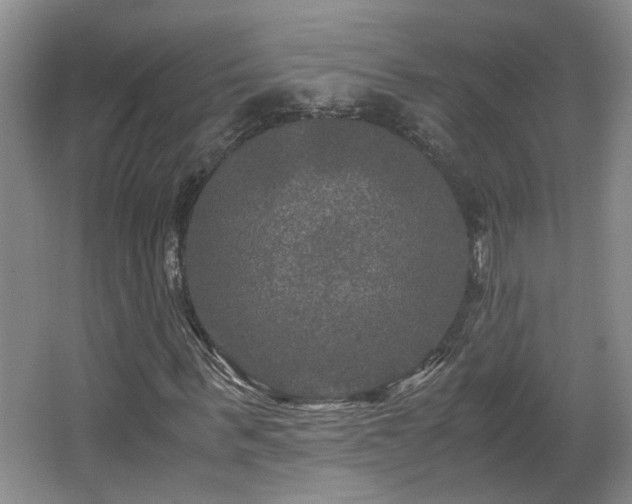 X0000066000963200603061319