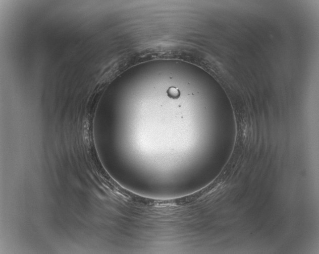 X0000066000964200603061319