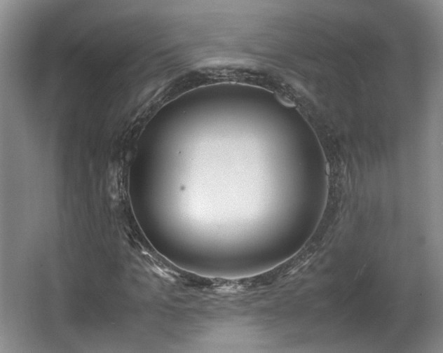 X0000066000965200603061319