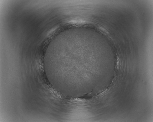 X0000066000966200603061319