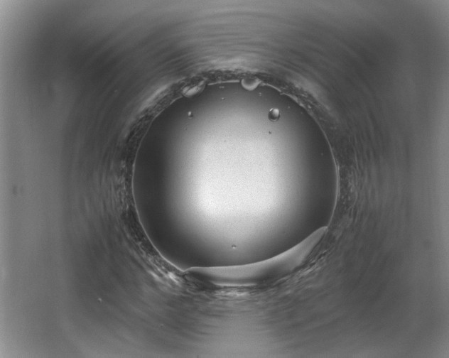 X0000066000968200603061319