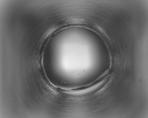 X0000066000970200603061319