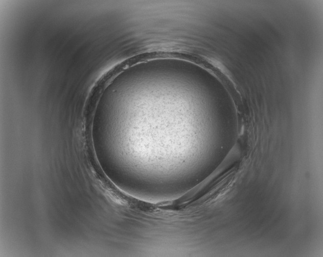 X0000066000971200603061319