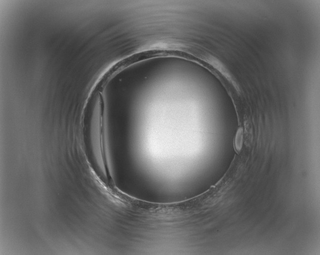 X0000066000972200603061319