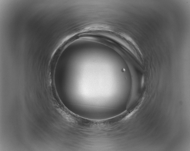 X0000066000973200603061319