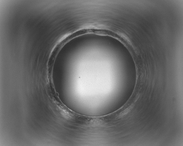 X0000066000974200603061319