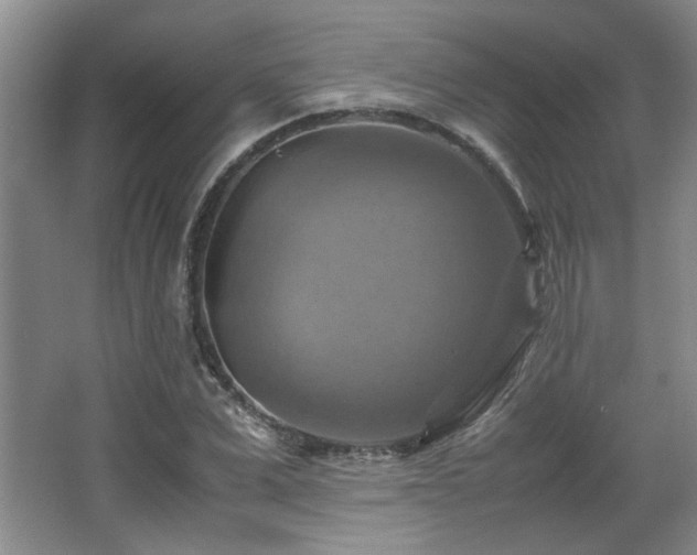 X0000066000975200603061319