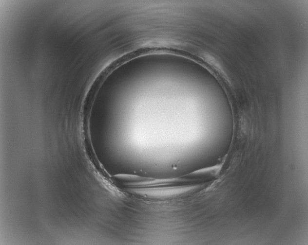 X0000066000976200603061319