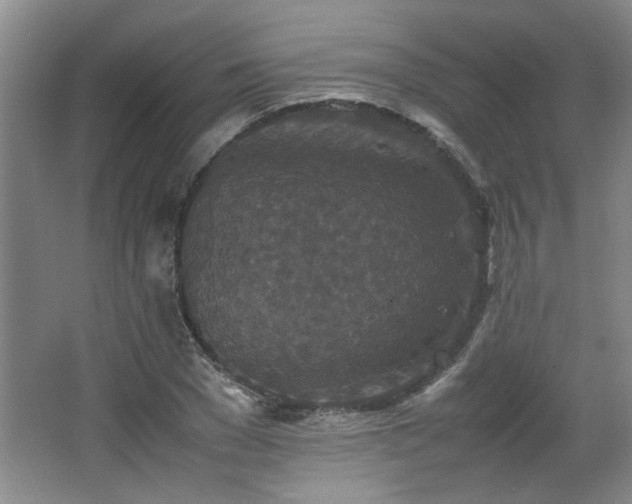 X0000066000977200603061319